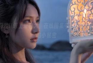当在下萝莉控ii遇上爱宕犬，在线图集中探秘那些藏在沙发下的小秘密