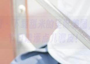 森萝财团 – 下载甜米的圣诞美图，给你的节日增添点儿调皮！
